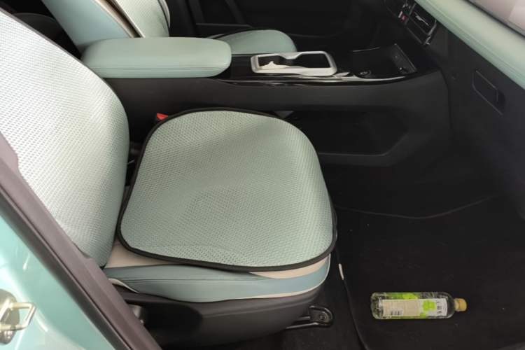 Used Geometry E Firefly 2024 401 km Fluorescent Right Front Seat
