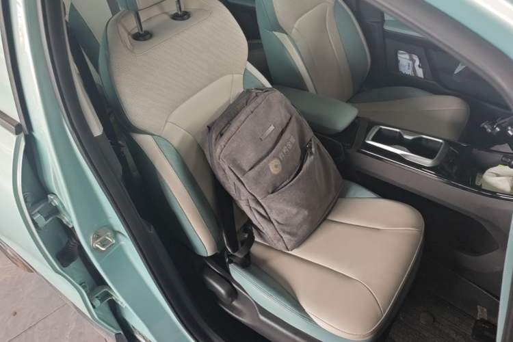 Used Geometry E Firefly 2024 401 km Fluorescent Right Front Seat