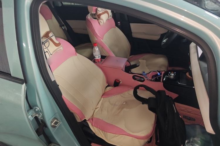 Used Geometry E Firefly 2024 301km Flowing Light Right Front Seat
