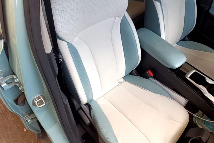 Used Geometry E Firefly 2024 401 km Fluorescent Right Front Seat