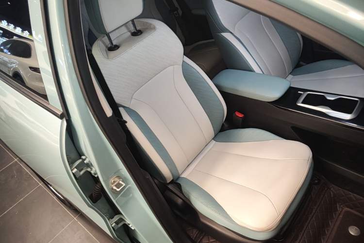 Used Geometry E Firefly 2024 301km Starlight Right Front Seat