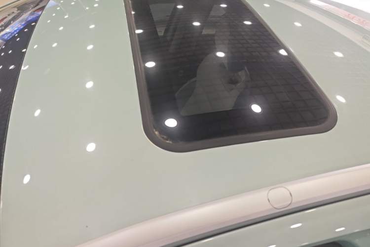Used Geometry E Firefly 2024 401 km Fluorescent Roof
