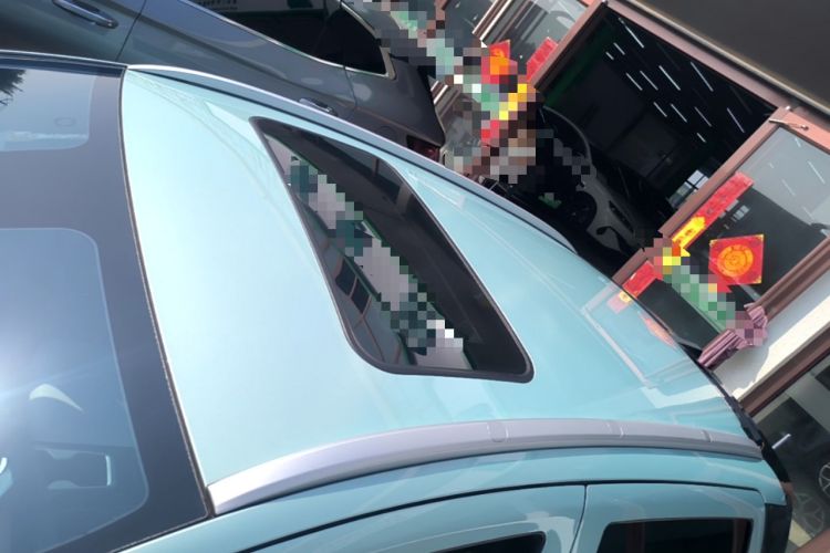 Used Geometry E Firefly 2024 401 km Fluorescent Roof