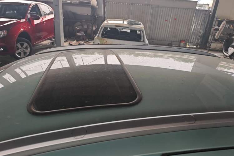 Used Geometry E Firefly 2024 401 km Fluorescent Roof
