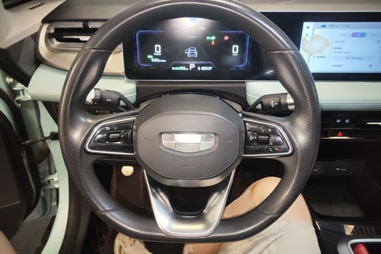 Used Geometry E Firefly 2024 301km Starlight Steering Wheel