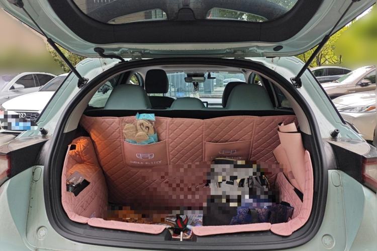 Used Geometry E Firefly 2024 401 km Fluorescent Trunk