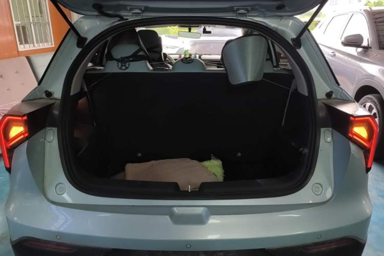 Used Geometry E Firefly 2024 401 km Fluorescent Trunk