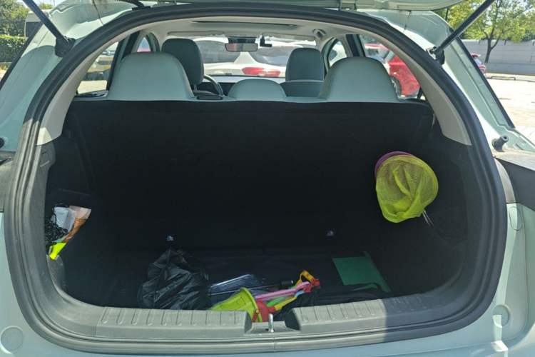 Used Geometry E Firefly 2024 401 km Fluorescent Trunk