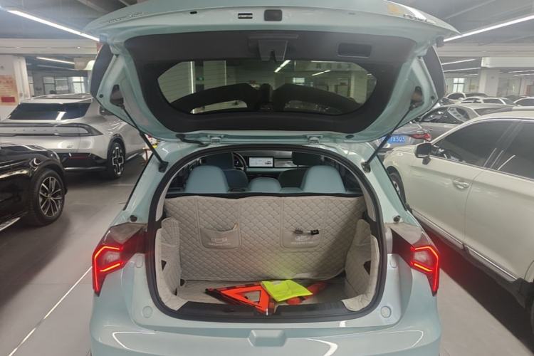 Used Geometry E Firefly 2024 301km Starlight Trunk
