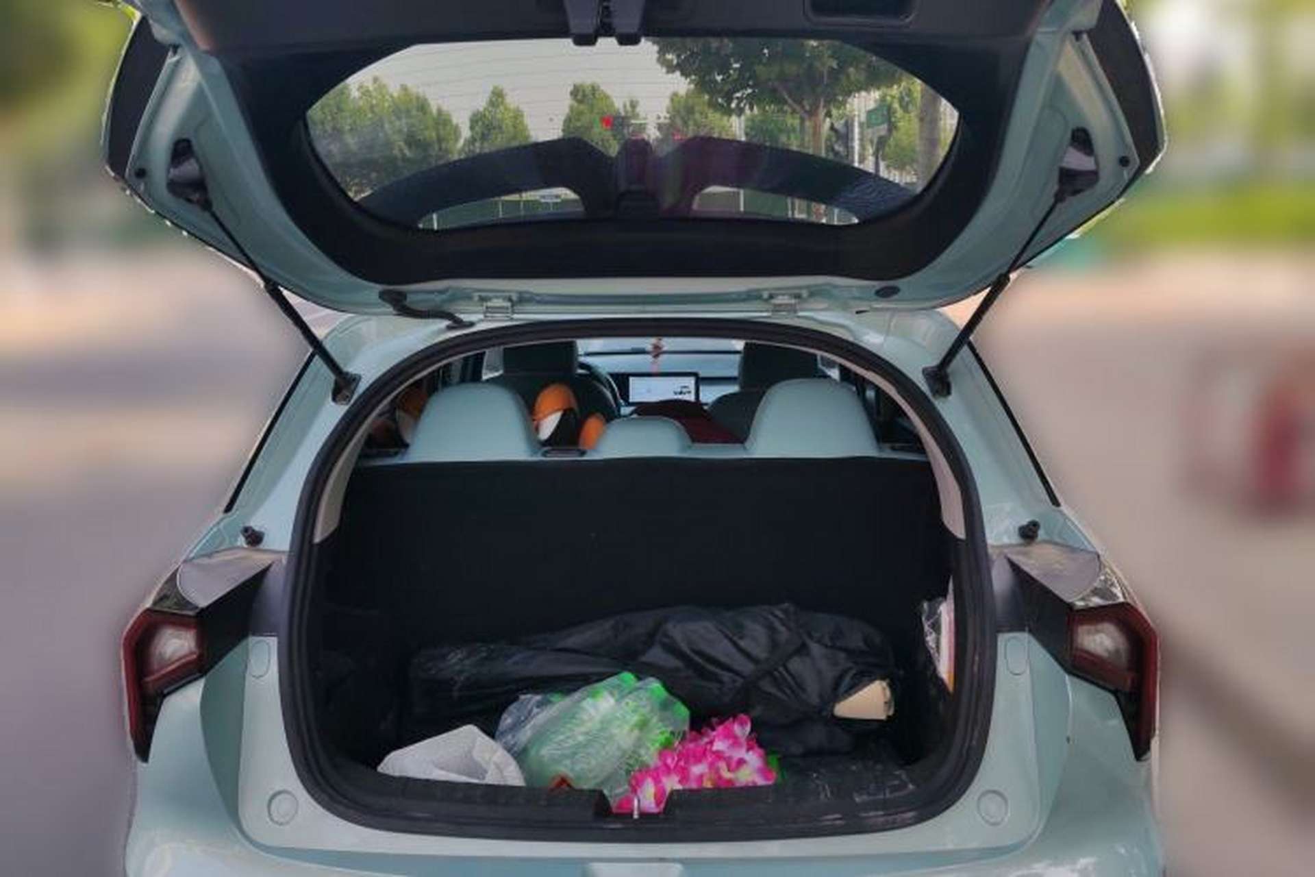 Used Geometry E Firefly 2024 301km Starlight Trunk