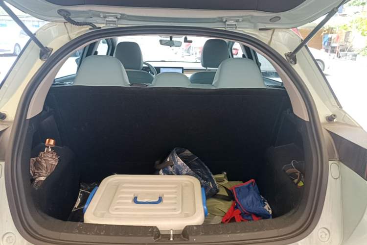 Used Geometry E Firefly 2024 401 km Fluorescent Trunk