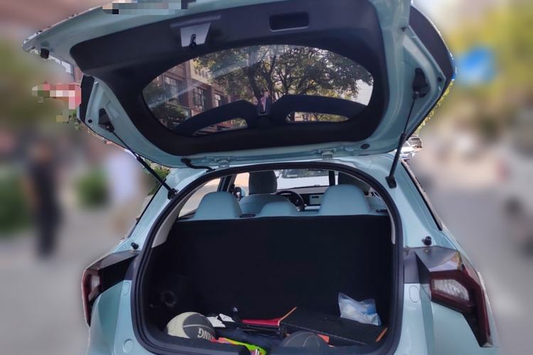 Used Geometry E Firefly 2024 301km Starlight Trunk