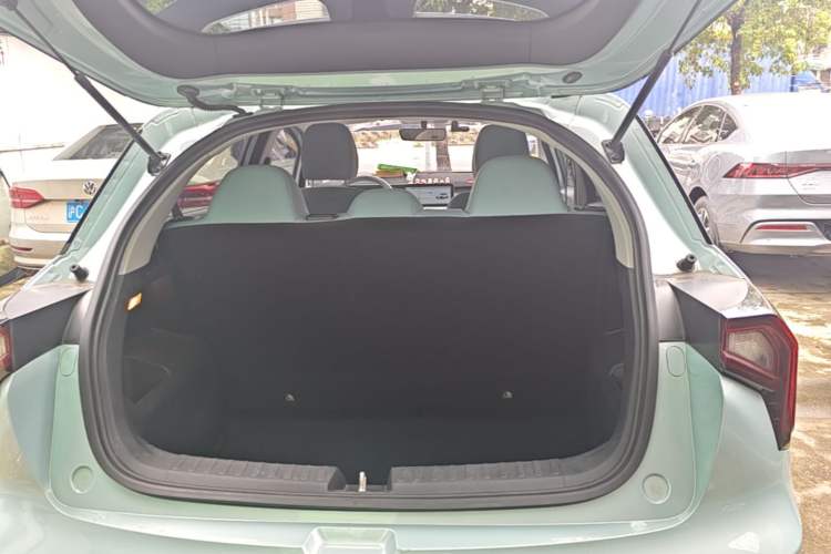 Used Geometry E Firefly 2024 401 km Fluorescent Trunk