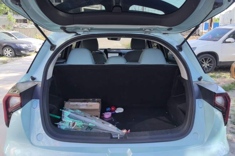 Used Geometry E Firefly 2024 301km Starlight Trunk