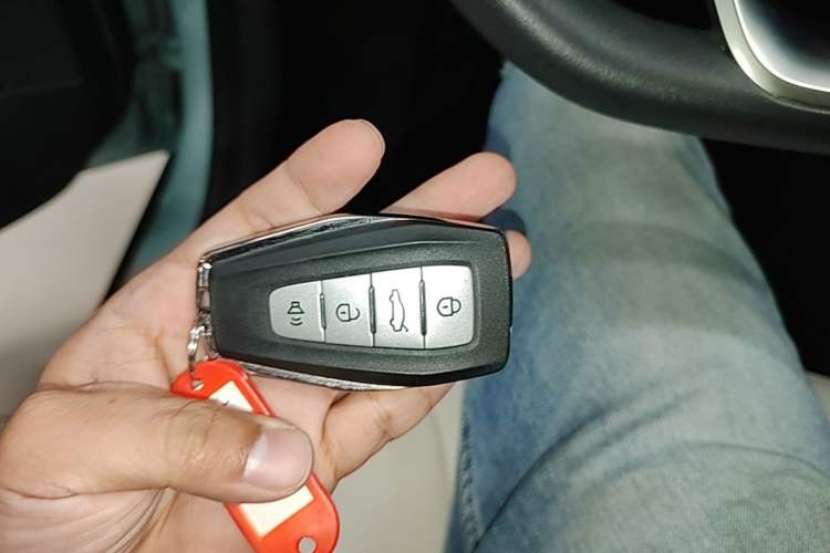 Used Geometry E Firefly 2024 301km Starlight Vehicle Key