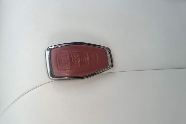 Used Geometry E Firefly 2024 301km Starlight Vehicle Key