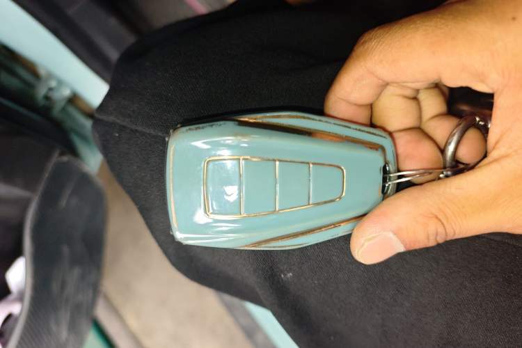 Used Geometry E Firefly 2024 401km Starlight Vehicle Key