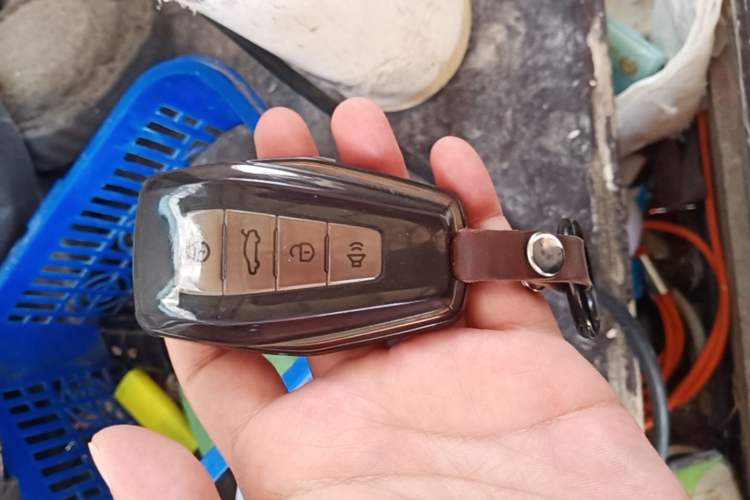 Used Geometry E Firefly 2024 301km Flowing Light Vehicle Key
