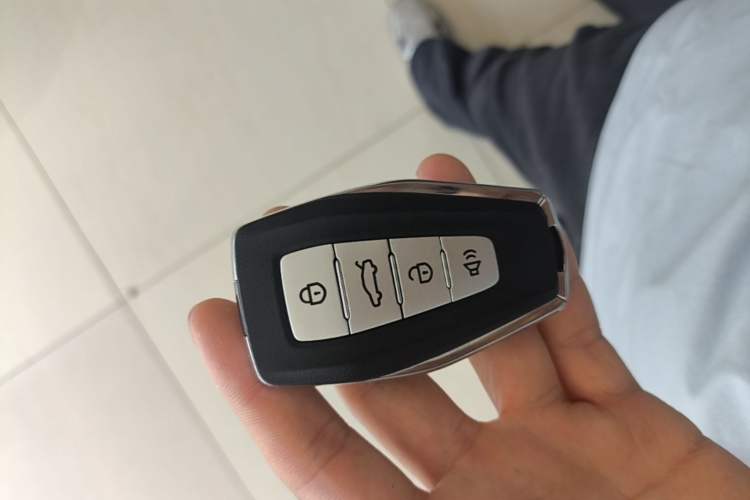 Used Geometry E Firefly 2024 301km Starlight Vehicle Key