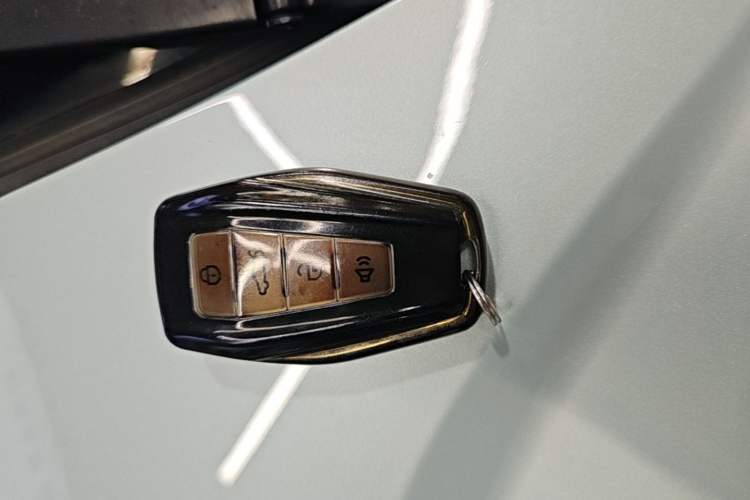 Used Geometry E Firefly 2024 401 km Fluorescent Vehicle Key
