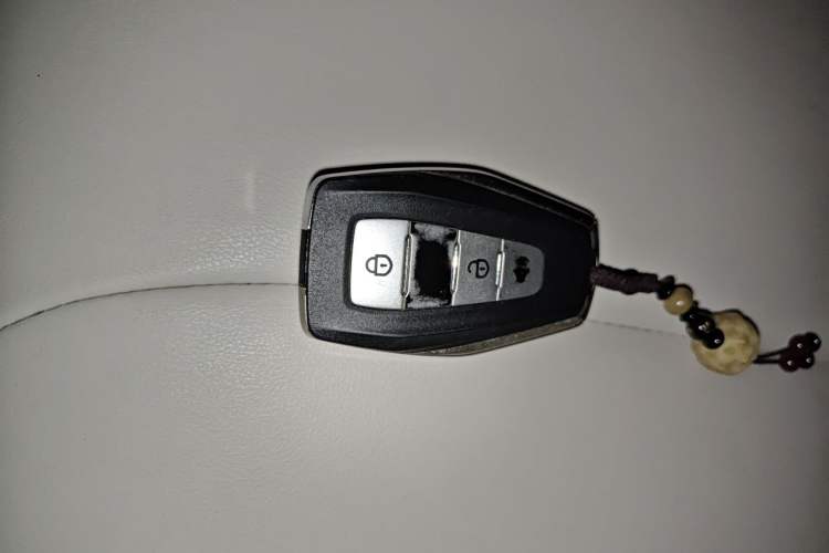 Used Geometry E Firefly 2024 301km Starlight Vehicle Key