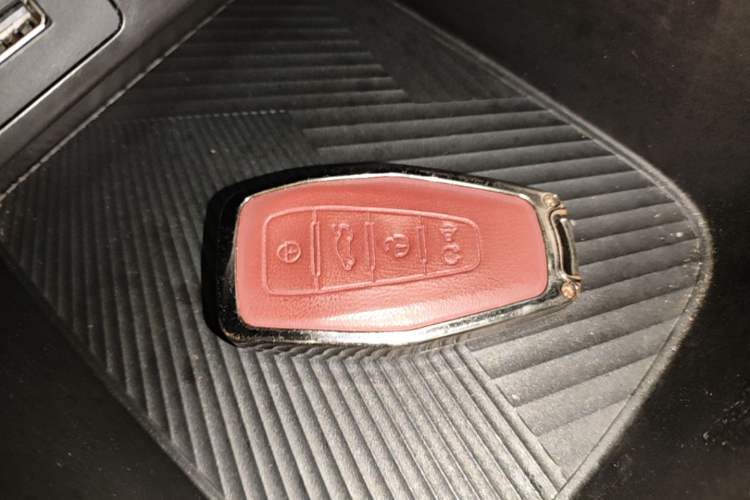 Used Geometry E Firefly 2024 301km Starlight Vehicle Key
