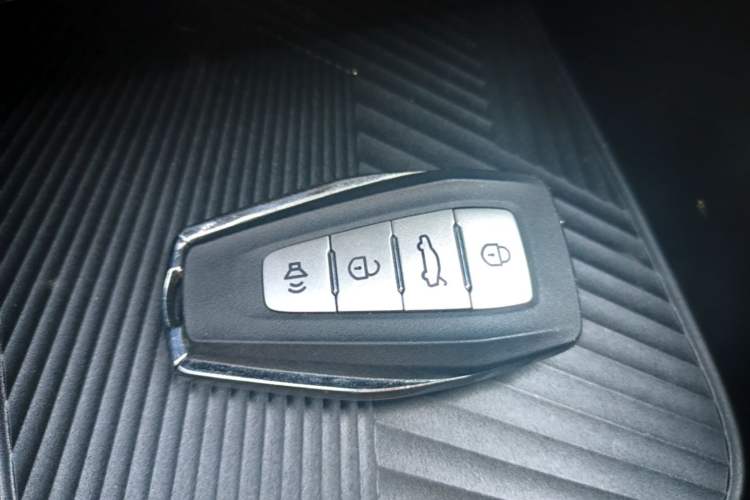 Used Geometry E Firefly 2024 401 km Fluorescent Vehicle Key