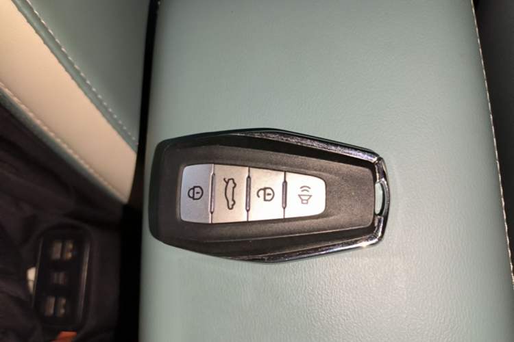 Used Geometry E Firefly 2024 401 km Fluorescent Vehicle Key