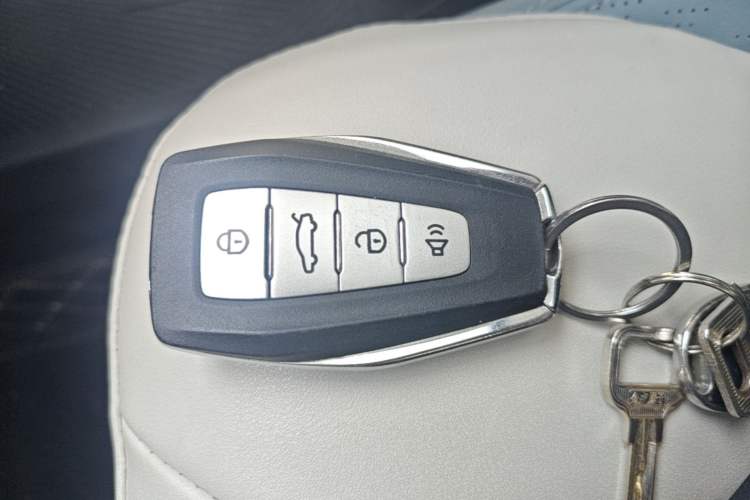 Used Geometry E Firefly 2024 401 km Fluorescent Vehicle Key