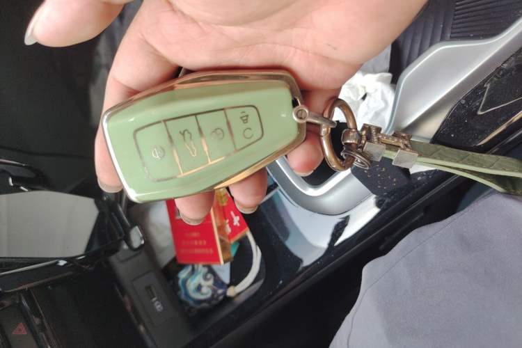 Used Geometry E Firefly 2024 301km Starlight Vehicle Key