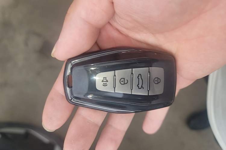 Used Geometry E Firefly 2024 301km Starlight Vehicle Key