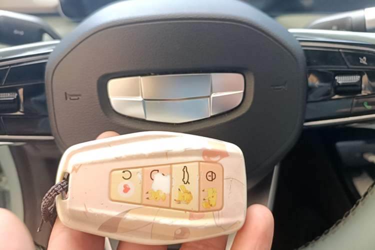 Used Geometry E Firefly 2024 401 km Fluorescent Vehicle Key