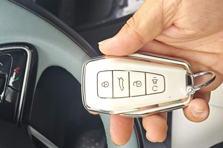 Used Geometry E Firefly 2024 401 km Fluorescent Vehicle Key
