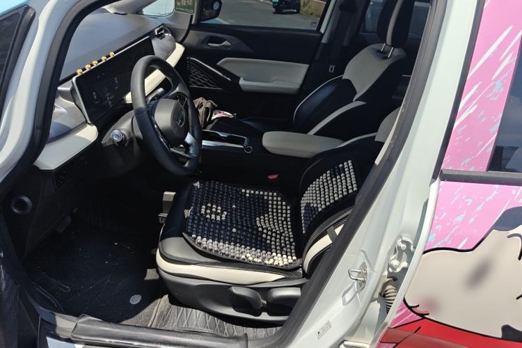 Used Geometry E Firefly 2024 301km Starlight Left Front Seat