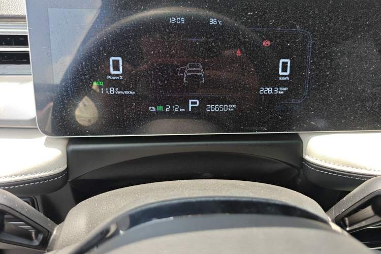 Used Geometry E Firefly 2024 301km Starlight Odometer Close Up