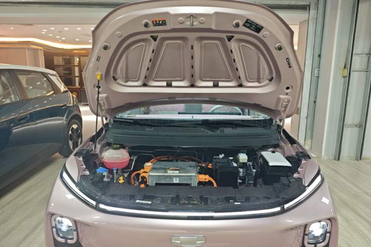 Used Geometry E Firefly 2024 401 km Fluorescent Engine Bay