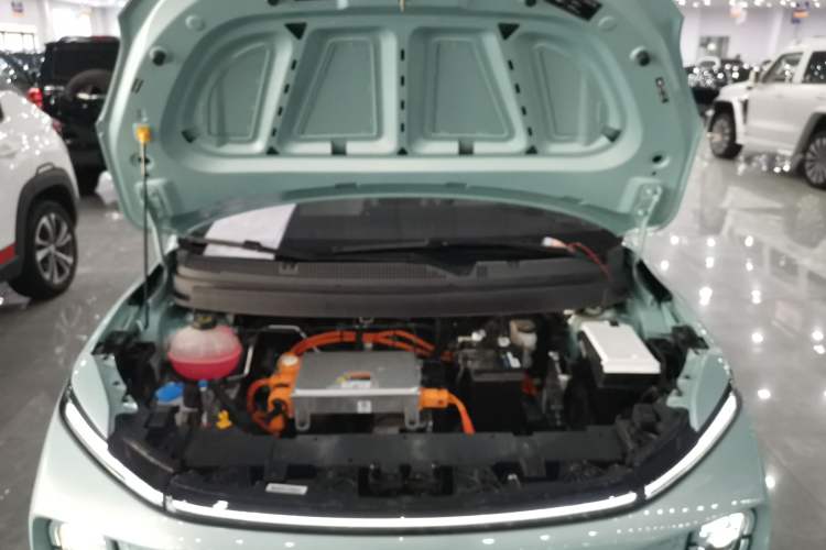 Used Geometry E Firefly 2024 401 km Fluorescent Engine Bay