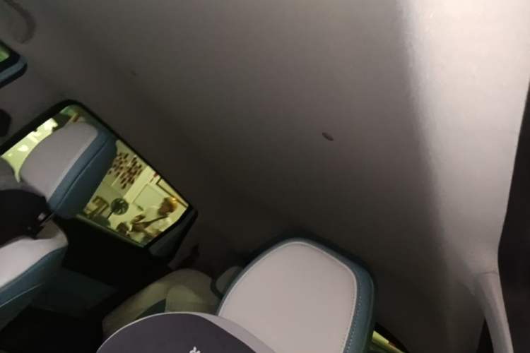 Used Geometry E Firefly 2024 401km Starlight Headliner