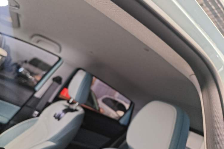 Used Geometry E Firefly 2024 301km Starlight Headliner