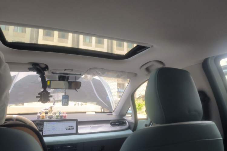 Used Geometry E Firefly 2024 401km Starlight Headliner