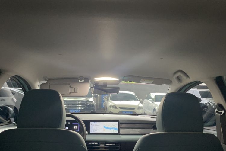 Used Geometry E Firefly 2024 401km Starlight Headliner