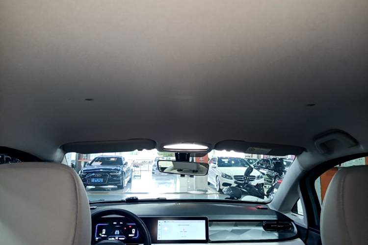 Used Geometry E Firefly 2024 301km Flowing Light Headliner
