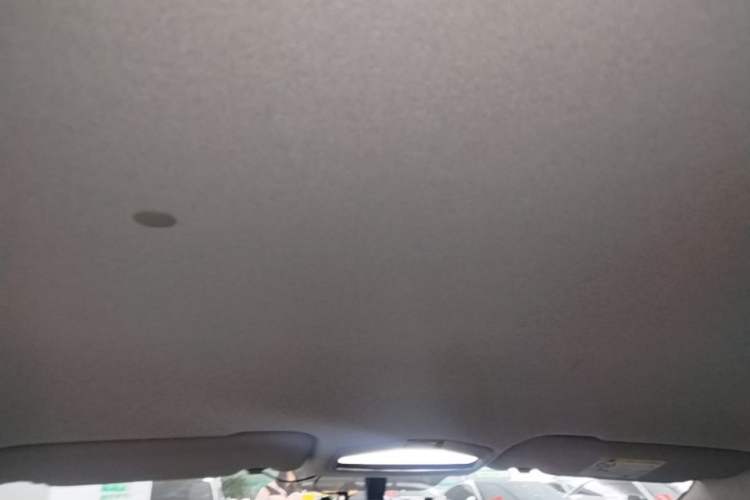 Used Geometry E Firefly 2024 301km Starlight Headliner