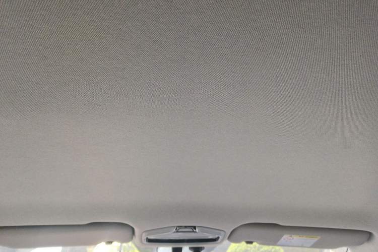 Used Geometry E Firefly 2024 301km Starlight Headliner