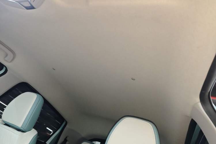Used Geometry E Firefly 2024 301km Starlight Headliner