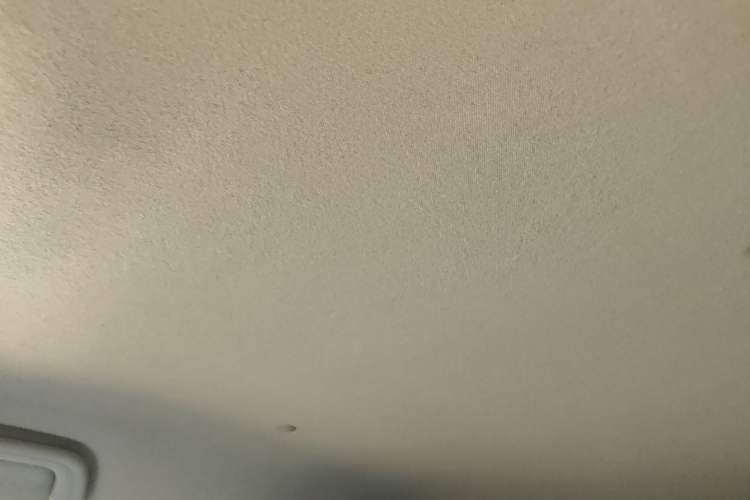 Used Geometry E Firefly 2024 401 km Fluorescent Headliner