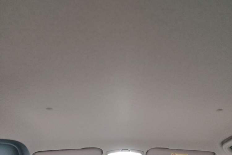 Used Geometry E Firefly 2024 401km Starlight Headliner