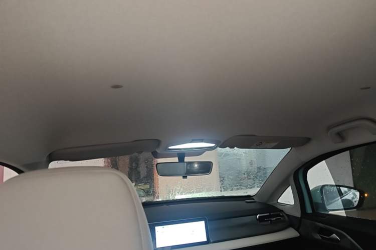 Used Geometry E Firefly 2024 301km Longteng Edition Headliner