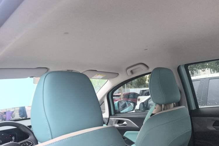 Used Geometry E Firefly 2024 301km Starlight Headliner