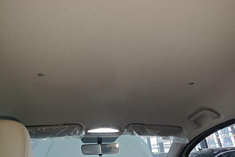 Used Geometry E Firefly 2024 301km Longteng Edition Headliner